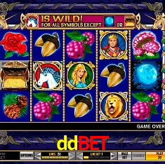 ddbet Brasília - Casino Guide